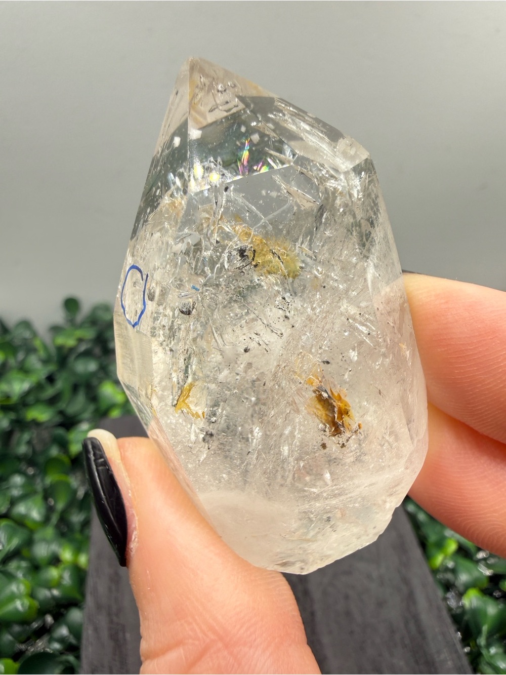 Golden Healer Quartz Enhydro